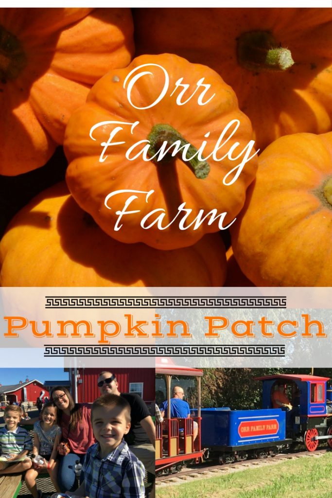 Orr family farm pumpkin patch