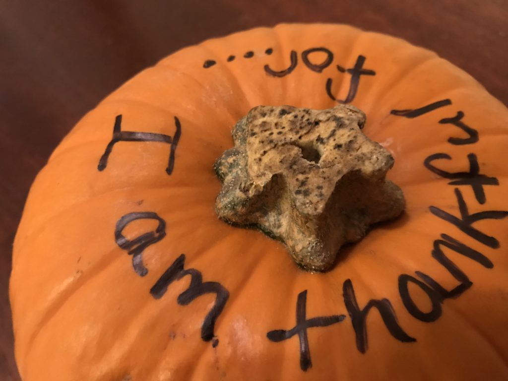 30 days of giving thanks