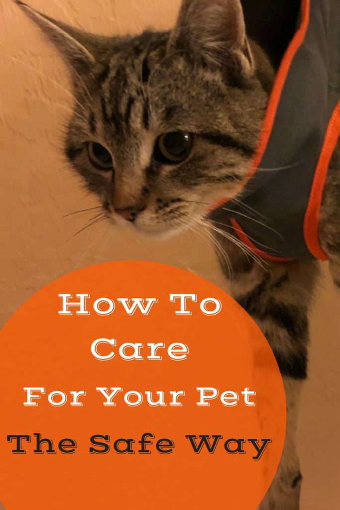 Pet Pita Pet Care