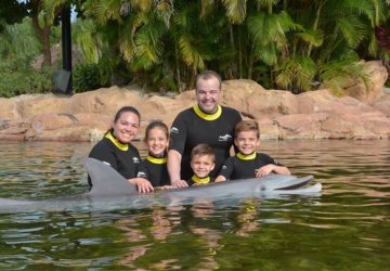 Discovery Cove Dolphin Swim